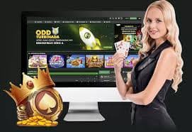 Tampilan permainan The Dog House di bolavita dengan grid 5x3 dan simbol-simbol anjing